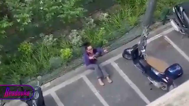 Европейская демократия.