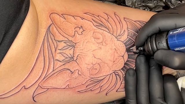 Egypt Cat #timelapse with realtime Lining and shading #tattoo #tattooartist смотреть онлайн