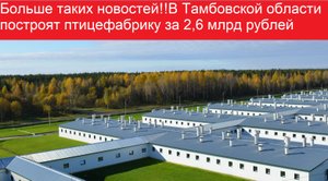 Больше таких новостей!!В Тамбовской области построят птицефабрику за 2,6 млрд рублей