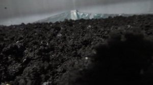 Выращивание шампиньонов. Бизнес в гараже. От компоста до грибов. Как это сделано