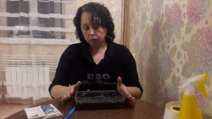 Лучший способ посева карпатского колокольчика