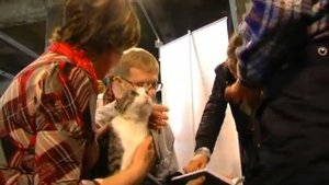 Эрмитажные коты меняют место жительства