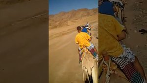 Верхом на верблюдах.Дахаб.голубая лагуна