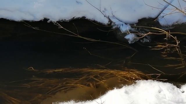 Весенняя красота нашей природы. смотреть онлайн