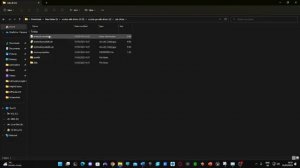How to install oculus ADB drivers!