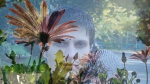 НЕБО   И   ЗЕМЛЯ   АВФ