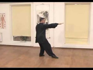 Тайцзи-цюань Ян 24ф. - подробности №9 формы с доктором Бутримовым. Ассоциация Даоинь России