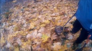 осенний коп с Bounty Hunter Tracker 4 .Поиск монет и костер