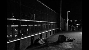 ТЕКЕ-ТЕКЕ?! Беги, если слышишь такой звук...