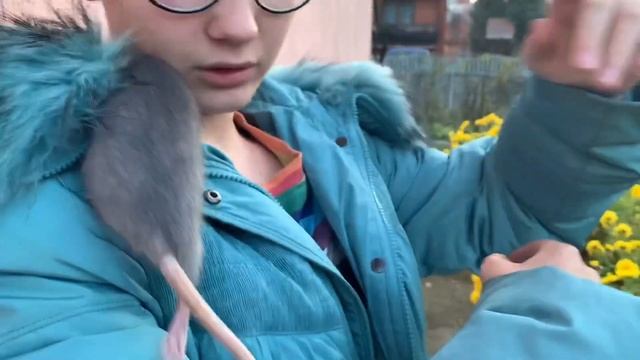 обзор на КРЫСУ ? смотреть онлайн