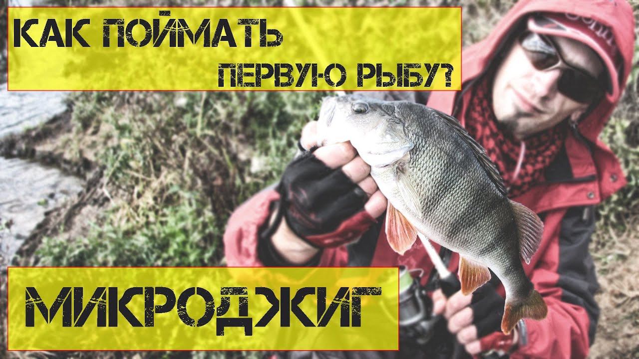 Микроджиг для начинающих. Как поймать первую рыбу
