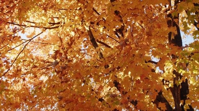 Нежная,печальная музыка,Релакс,Боль Души.