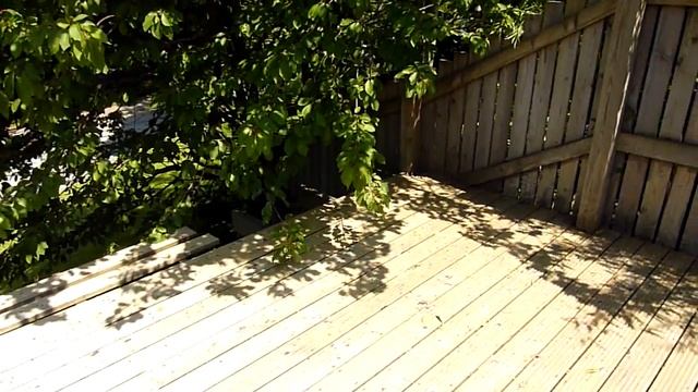 June Update On My Long Natural Nails. Bare - No Nail Polish смотреть онлайн