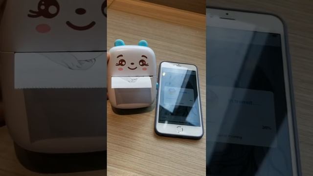 Mini Bluetooth Printer for iPhone, Portable Pocket-Sized Printing Sticker Printer