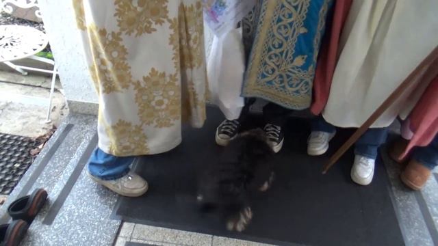 Встречаем 3 Королей! We meet the 3 Kings!