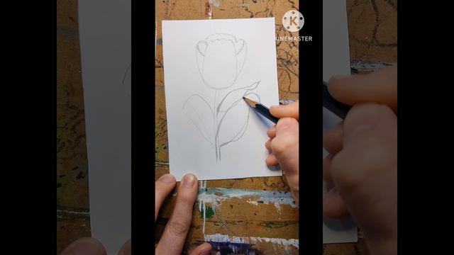 Тюльпан | Как нарисовать тюльпан | Рисуем красиво и просто цветы | Рисуем тюльпан масляной пастелью смотреть онлайн