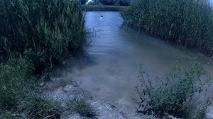 Тест гребных винтов от 2-х до 6 лопастей на карповом кораблике