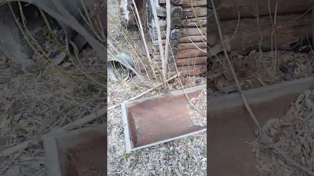 Брачный период змей смотреть онлайн