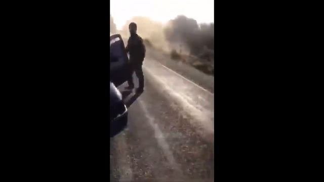 Навел суету видео. Наведу суету фантом.