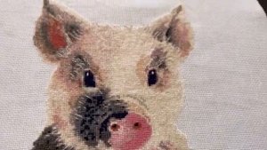 В гостях у вышивальщицы Анастасии.