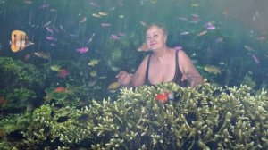 Subnautica 3 Teaser Trailer