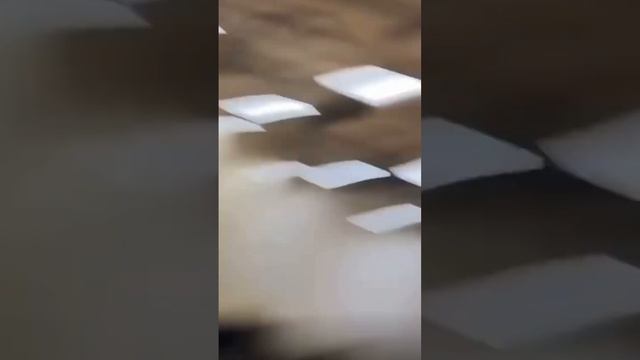 Fresh hoop #basketball #hoop #sports #game смотреть онлайн