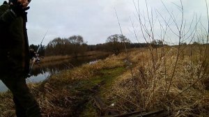 Первый судак в сезоне 2020 Shimano Antares против Zillion J-Dream и Lurestar BATTLE-X m11 Эргономик