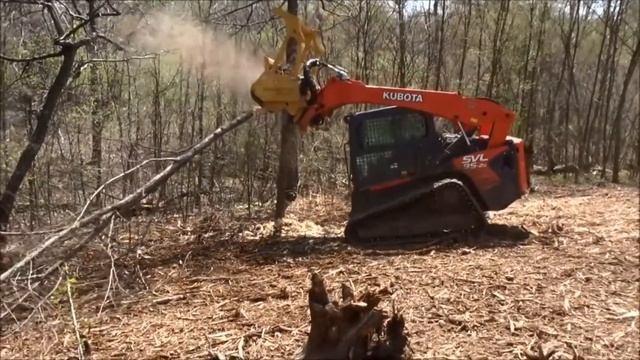 Мини-погрузчик KUBOTA и Miniforst CL hyd с ротором CUT CONTROL смотреть онлайн