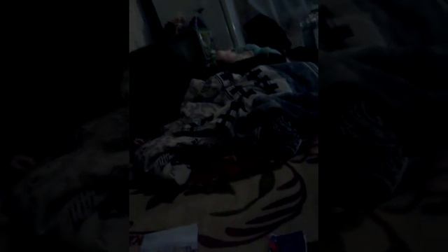 Обзор на паспорты для моих игрушек три паспорта смотреть онлайн