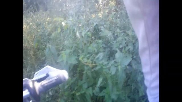 Поехали в эндуро по старой трассе. 20 км СТРАДАНИЙ!!! смотреть онлайн