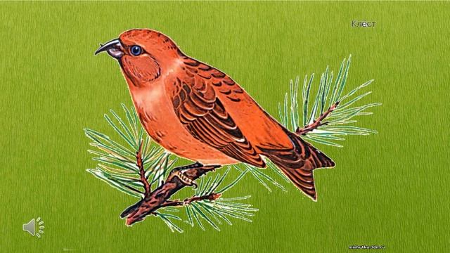 КОГО? ЧЕГО? 2 кл, дети с ОВЗ смотреть онлайн