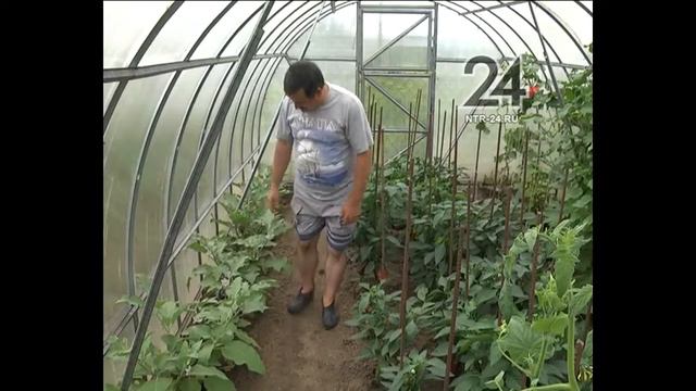 Нижнекамск на даче. Выпуск четвертый смотреть онлайн