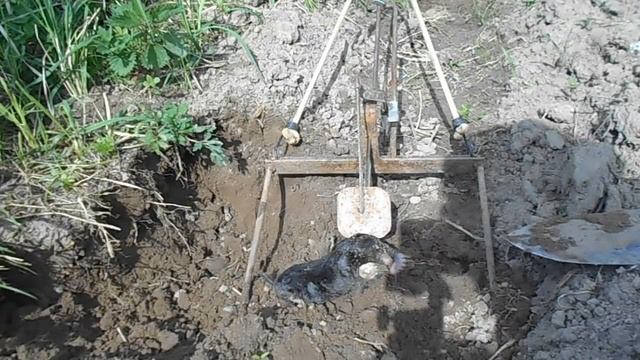 Как поймать крота . Самый эффективный способ . Кротоловка . смотреть онлайн