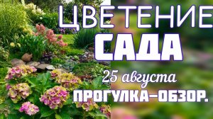 Прогулка-обзор САДА ЦВЕТЕНИЕ 25 августа