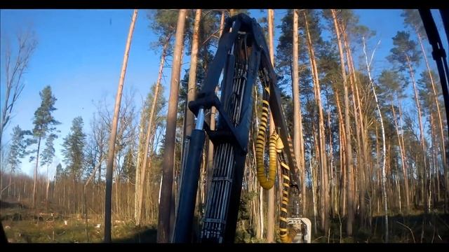 Валка монстров !!!(толстый лес) смотреть онлайн