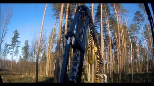 Валка монстров !!!(толстый лес)