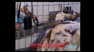 Шаговая пила SH60-03 (Распиловка туш на полутуши) - FREUND - АНТЕС