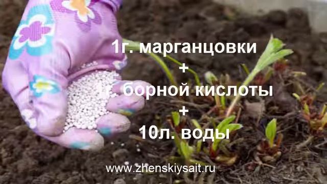 Применение борной кислоты в саду и огороде смотреть онлайн