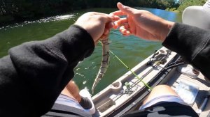 Fishing w/ SNAKES & RATS in SMALL Ponds!