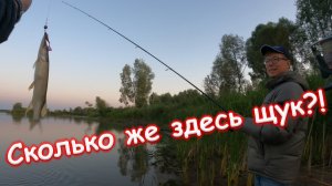 Летняя рыбалка на реке Шешма в Татарстане