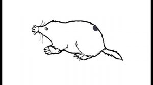 Как нарисовать Крота. Раскраска Крот для детей