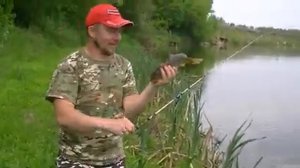 Ловля сазана на реке | Сазан на фидер | Поймали большого сазана на 4.5 кг.