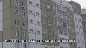 Наркопритон 04.02.2021