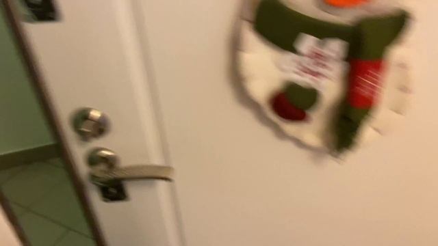 Маленький шпиц встречает своего хозяина. Такой радости вы ещё не видели! смотреть онлайн