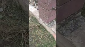 Укладка бессера под расшивку