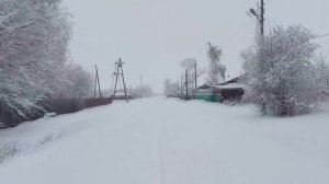 Зелёная Поляна. 6 января 2023