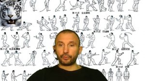 Беседа о тайдзицюань. Еще раз о  тайдзицюань