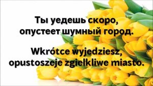 Наташа Королёва - Жёлтые тюльпаны [Текст]