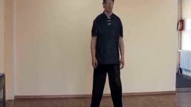 Принципы  тайцзи  ч 1