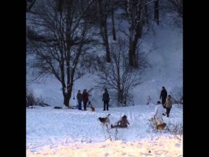 Хаски тоже любят кататься на горках)